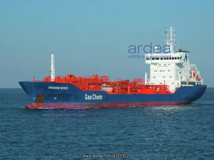 : Petro-Chem Ship, English Channel : Petro-Chem Ship, English Channel