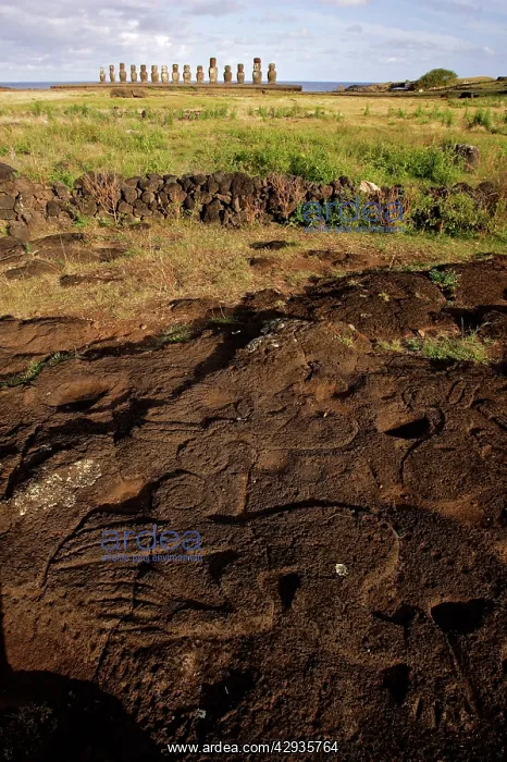 : Petroglyph of Papa Tataku Poke, representing a : Petroglyph of Papa Tataku Poke, representing a
