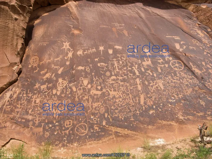 : Petroglyphs : Petroglyphs