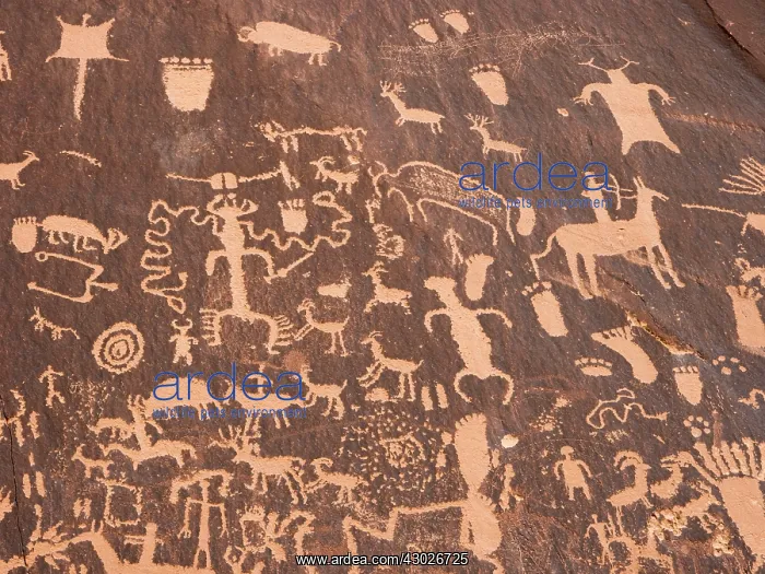 : Petroglyphs : Petroglyphs