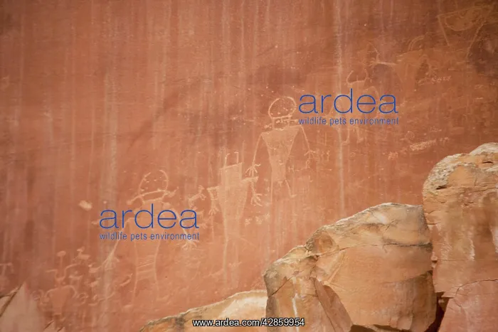 : Petroglyphs etched by Fremont Indians in sandstone cliff : Petroglyphs etched by Fremont Indians in sandstone cliff