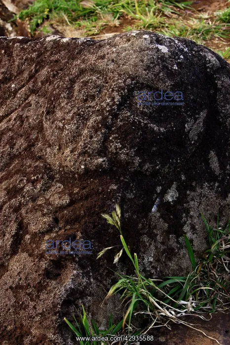 : Petroglyphs of the god Make Make. Make Make was : Petroglyphs of the god Make Make. Make Make was