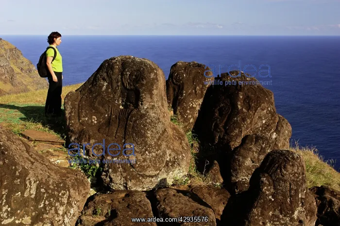 : Petroglyphs at Mata Ngarau, on ridge between a : Petroglyphs at Mata Ngarau, on ridge between a