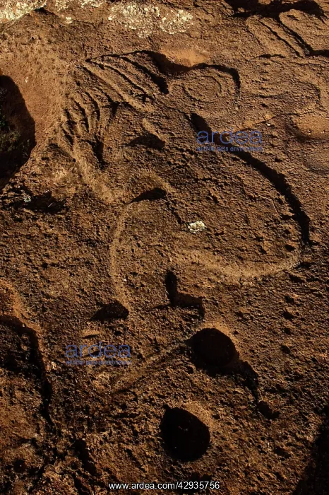 : Petroglyphs of Papa Tataku Poke, representing Tangata : Petroglyphs of Papa Tataku Poke, representing Tangata