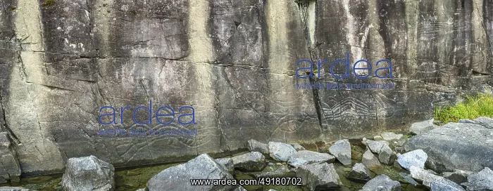 : Petroglyphs on a rock wall rising out of Sproat Lake near Port Alberni