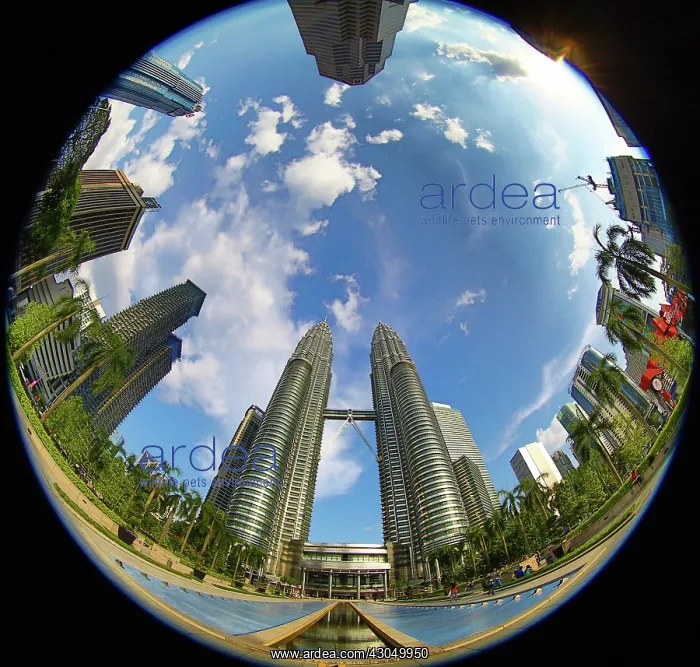 : Petronas Twin Towers skyscrapers, KLCC, Kuala Lumpur, Ma : Petronas Twin Towers skyscrapers, KLCC, Kuala Lumpur, Ma