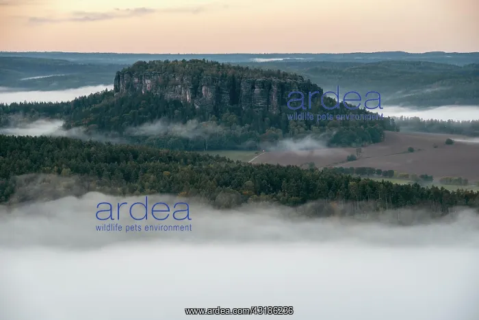 : Pfaffenstein with morning fog, Elbe Sandstone Mountains : Pfaffenstein with morning fog, Elbe Sandstone Mountains
