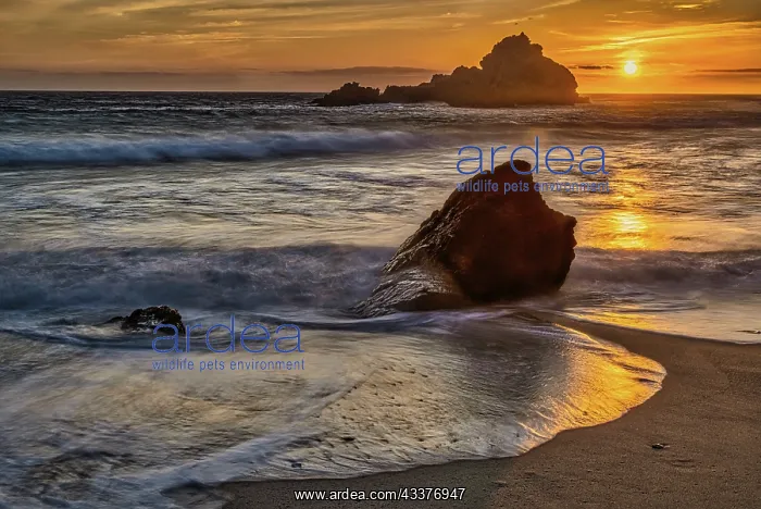 : Pfeiffer Beach, Big Sur, California : Pfeiffer Beach, Big Sur, California