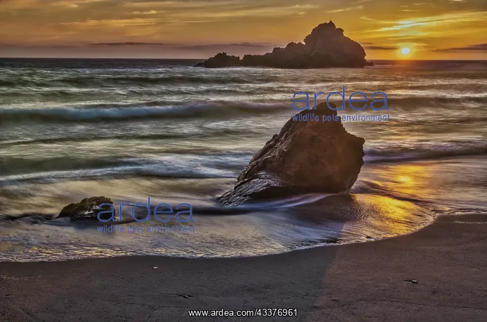 : Pfeiffer Beach, Big Sur, California : Pfeiffer Beach, Big Sur, California