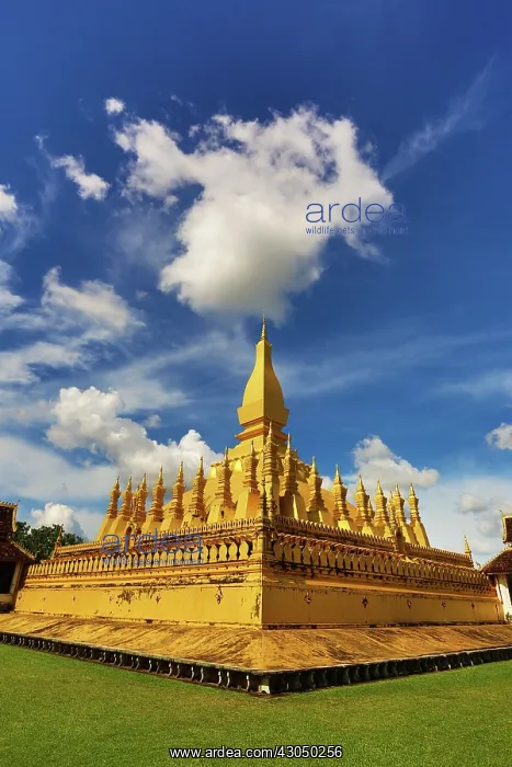 : Pha That Luang gold Stupa, Vientiane, Laos Paul Brown : Pha That Luang gold Stupa, Vientiane, Laos Paul Brown