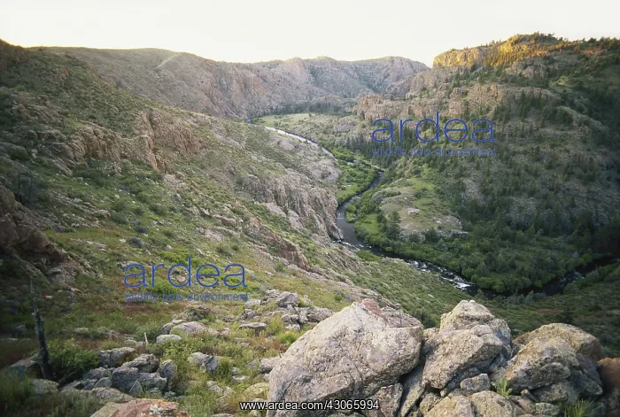 : Phantom Canyon, Colorado : Phantom Canyon, Colorado
