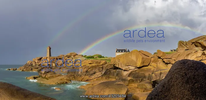  : Phare de Men Ruz and Villa of Gustave Eiffel with