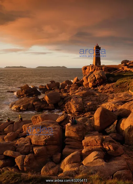 : Phare de Ploumanac'h Lighthouse, Granite Rock, Ploumanac'h : Phare de Ploumanac'h Lighthouse, Granite Rock, Ploumanac'h