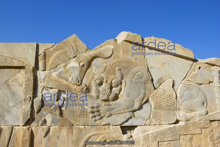  : Phases of the Sky carving, Persepolis, Iran