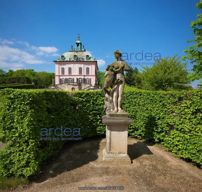 : Pheasant Castle Moritzburg : Pheasant Castle Moritzburg