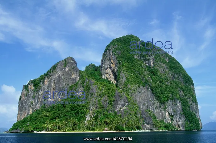 : Philippines : Philippines