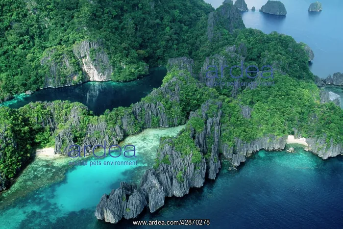 : Philippines - the lagoons : Philippines - the lagoons