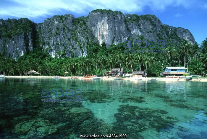 : Philippines - Palawan : Philippines - Palawan