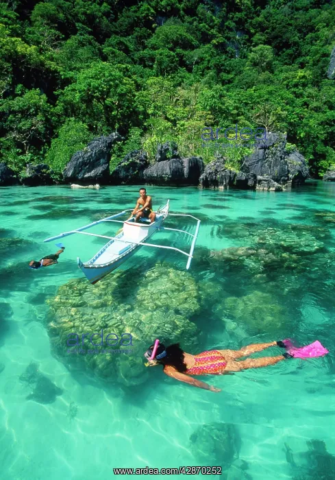 : Philippines - Palawan - snorkelling in the lagoon : Philippines - Palawan - snorkelling in the lagoon
