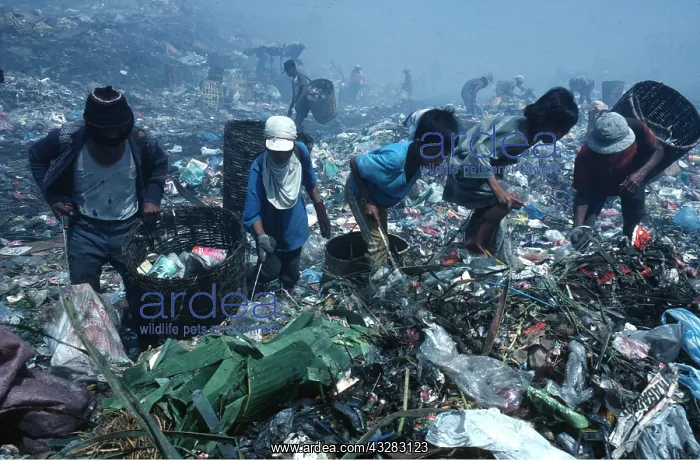 : PHILIPPINES - Smoky Mountain people searching through : PHILIPPINES - Smoky Mountain people searching through