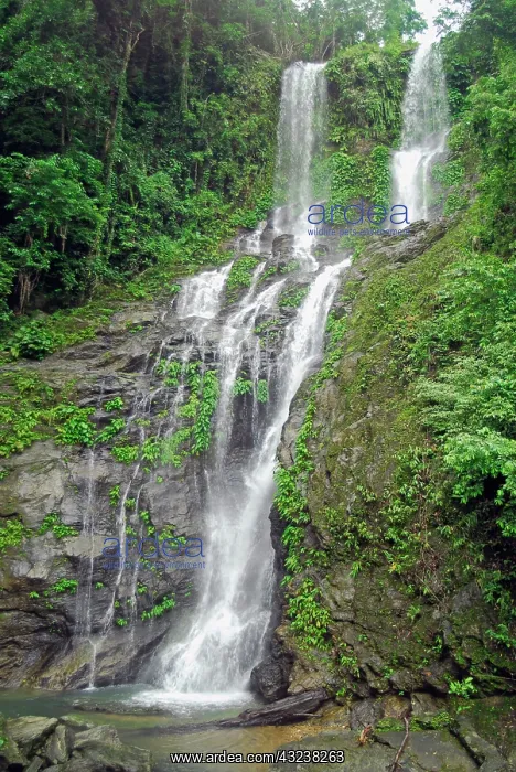 : Philippines, Tabinay, waterfall in jungle : Philippines, Tabinay, waterfall in jungle