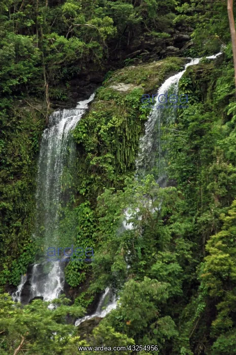 : Philippines, Tabinay, waterfall in jungle : Philippines, Tabinay, waterfall in jungle