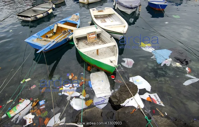 : Photo denunciation, garbage in the sea. No matter : Photo denunciation, garbage in the sea. No matter