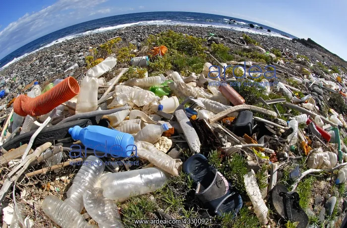 : Photo denunciation, garbage in the sea. No matter : Photo denunciation, garbage in the sea. No matter