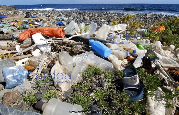 : Photo denunciation, garbage in the sea. No matter : Photo denunciation, garbage in the sea. No matter