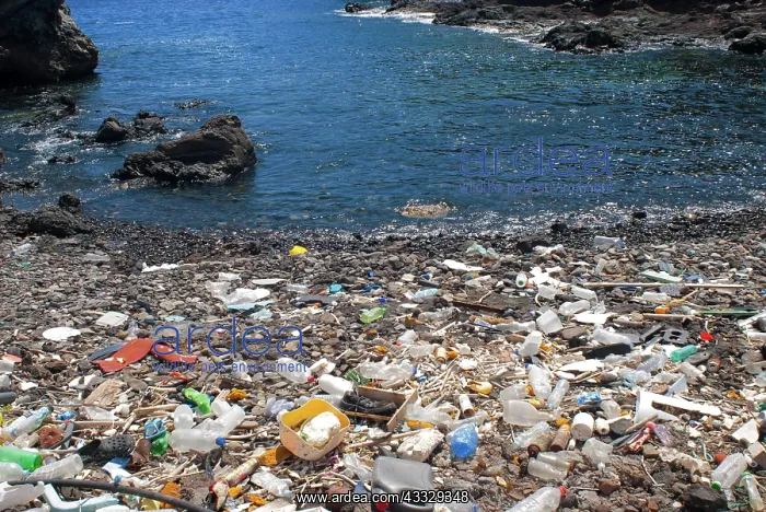 : Photo denunciation, garbage in the sea. No matter : Photo denunciation, garbage in the sea. No matter