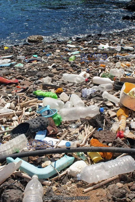  : Photo denunciation, garbage in the sea. No matter