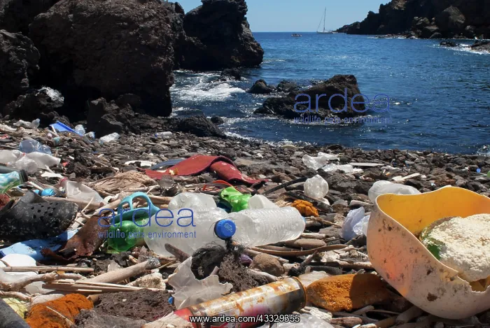 : Photo denunciation, garbage in the sea. No matter : Photo denunciation, garbage in the sea. No matter