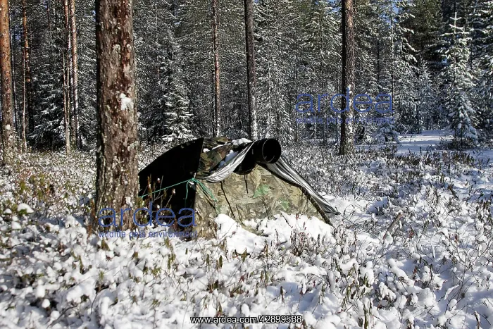 : Photoghrapher - tent / hide in forest to photograph : Photoghrapher - tent / hide in forest to photograph