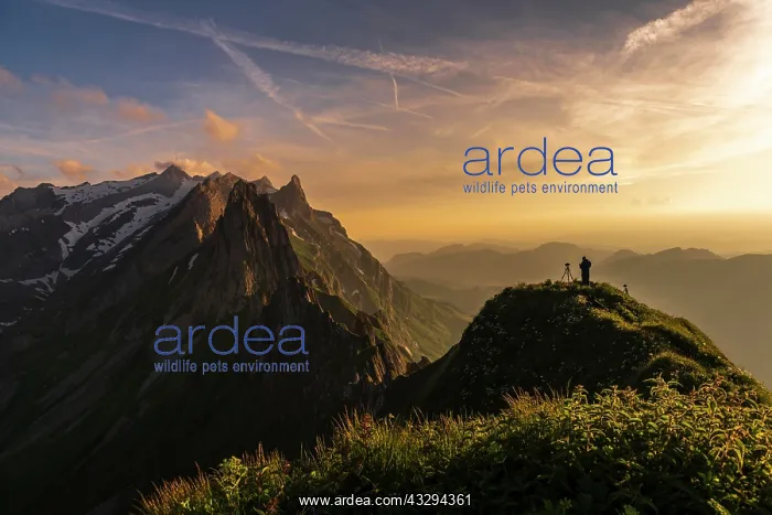 : Photographer on grassy ridge at sunset with S&, x4bb4;is : Photographer on grassy ridge at sunset with S&, x4bb4;is