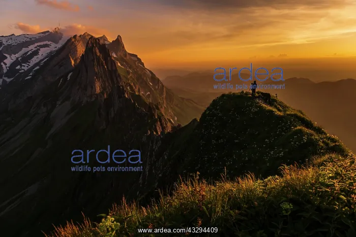 : Photographer on grassy ridge at sunset with S&, x4bb4;is : Photographer on grassy ridge at sunset with S&, x4bb4;is