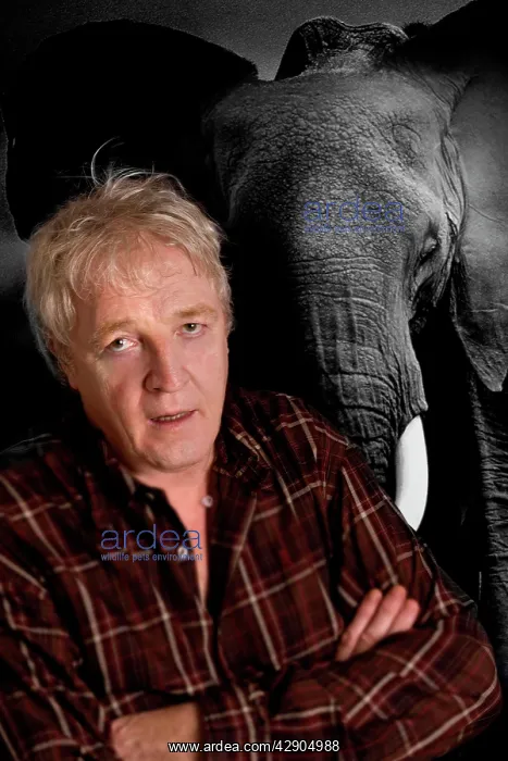 : Photographer Jean-Michel Labat with Elephant background : Photographer Jean-Michel Labat with Elephant background