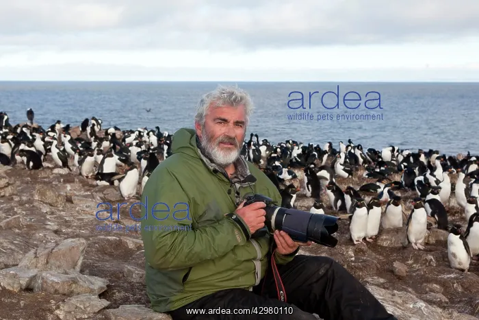 : Photographer - at King Shag / Imperial Shag / Black : Photographer - at King Shag / Imperial Shag / Black