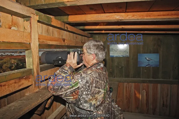 : Photographer in observer lookout / hide : Photographer in observer lookout / hide