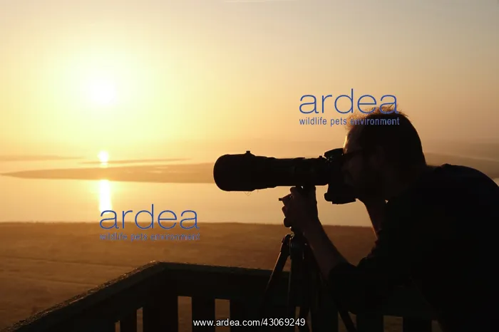 : photographer watching over the saltmarsh with his camera : photographer watching over the saltmarsh with his camera