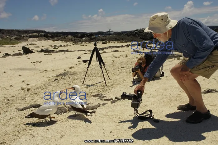 : Photographers : Photographers