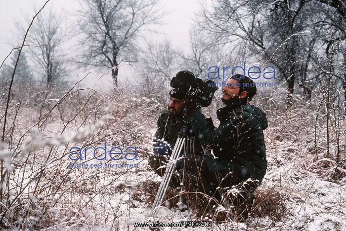 : PHOTOGRAPHERS - pair filming Hangul / Kashmir Deer in snow : PHOTOGRAPHERS - pair filming Hangul / Kashmir Deer in snow