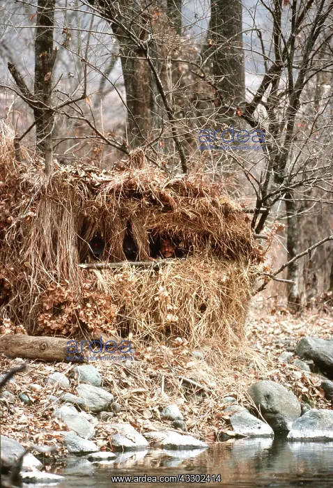 : PHOTOGRAPHIC HIDE - at water : PHOTOGRAPHIC HIDE - at water