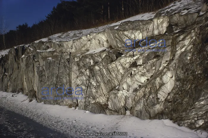 : Phyllite, a metamorphic rock, on the side of I-91 at White River Junction in Vermont : Phyllite, a metamorphic rock, on the side of I-91 at White River Junction in Vermont