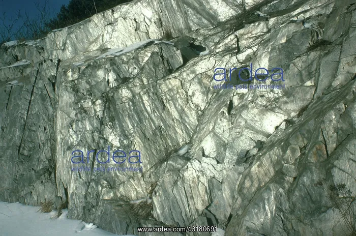 : Phyllite, a metamorphic rock, on the side of I-91 at White River Junction in Vermont