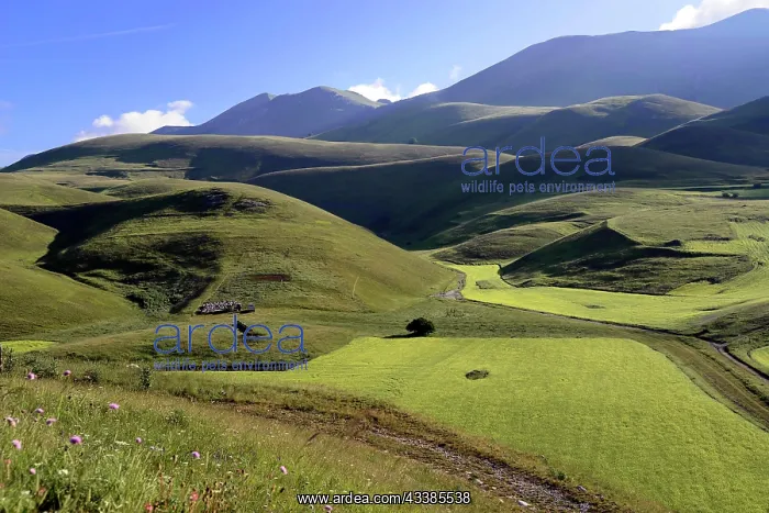 : Piano Grande plain, Monte Sibillini National Park : Piano Grande plain, Monte Sibillini National Park