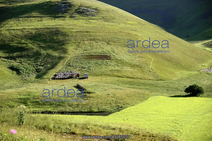 : Piano Grande plain, Monte Sibillini National Park : Piano Grande plain, Monte Sibillini National Park