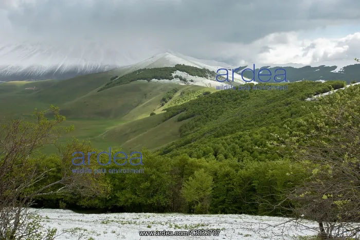 : Piano Grande in spring as viewed from the south : Piano Grande in spring as viewed from the south