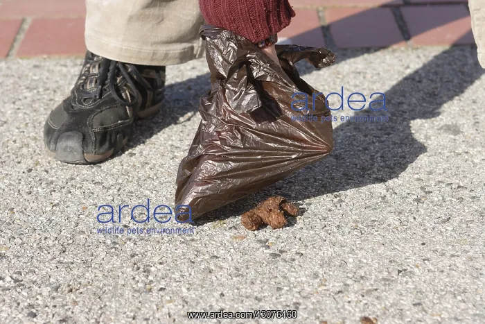 : Pick up a dirt dog with a plastic bag : Pick up a dirt dog with a plastic bag