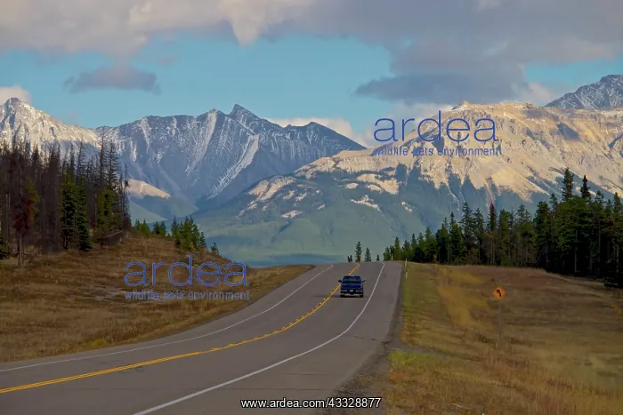 : A pickup truck drives east along the David : A pickup truck drives east along the David