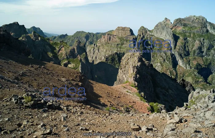  : Pico do Arieiro - Summit at 1818 m